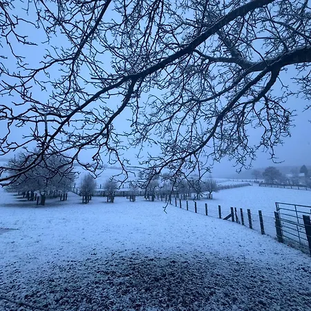 Achouffe - Apres Midi *