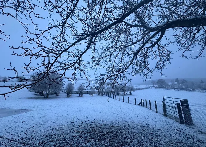 Achouffe - Apres Midi *