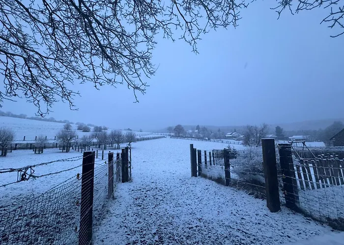 Achouffe - Apres Midi Houffalize